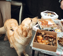 Party Animals pet market New Year 2021, фото № 67