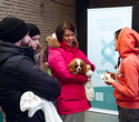 Party Animals pet market New Year 2021, фото № 58