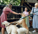 Party Animals pet market, фото № 164