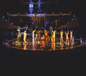 Cirque du Soleil "Quidam", фото № 71
