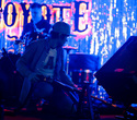 Coyote Friday Live, фото № 36