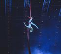 Cirque du Soleil "Quidam", фото № 84