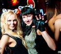 This is Halloween: DJ 909 (Moscow), фото № 102