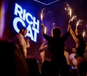Rich Cat Party, фото № 13