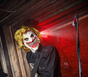 Joker Halloween, фото № 50