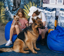 Party Animals pet market, фото № 106