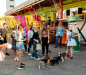 Party Animals pet market, фото № 166