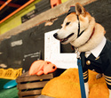 Party Animals pet market, фото № 73