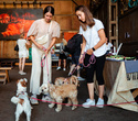 Party Animals pet market, фото № 111