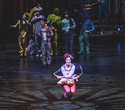 Cirque du Soleil "Quidam", фото № 95