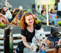 Party Animals pet market, фото № 69