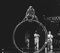 Cirque du Soleil "Quidam", фото № 34
