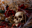 Halloween:Чародейка, фото № 9
