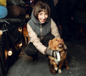 Party Animals pet market New Year 2021, фото № 84