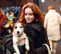 Party Animals pet market New Year 2021, фото № 24