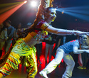 Bollywood Show, фото № 56