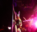 Playboy Party, фото № 20