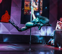 Top Pole Dance Awards, фото № 40