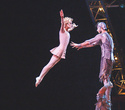 Cirque du Soleil "Quidam", фото № 230