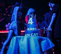 Rich Cat Birthday celebration 4 years, фото № 27