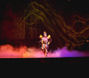 Cirque du Soleil: Dralion в Ледовом дворце (Санкт-Петербург), фото № 45