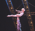 Cirque du Soleil "Quidam", фото № 231