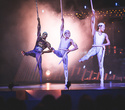 Cirque du Soleil "Quidam", фото № 153