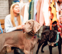 Party Animals pet market New Year 2021, фото № 31