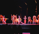 Cirque du Soleil: Dralion в Ледовом дворце (Санкт-Петербург), фото № 119