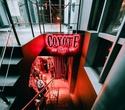 Coyote Show, фото № 3