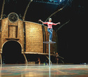 Cirque du Soleil: Dralion в Ледовом дворце (Санкт-Петербург), фото № 5
