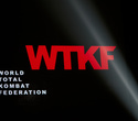 6й турнир WTKF6 по MMA и К-1 дисциплинам, фото № 1