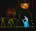Cirque du Soleil: Dralion в Ледовом дворце (Санкт-Петербург), фото № 72