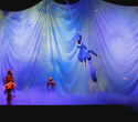 Cirque du Soleil: Dralion в Ледовом дворце (Санкт-Петербург), фото № 49
