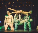 Cirque du Soleil "Quidam", фото № 176