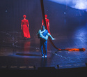 Cirque du Soleil "Quidam", фото № 88