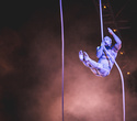 Cirque du Soleil "Quidam", фото № 155