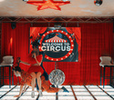 Welcome to circus, фото № 7