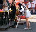 Party Animals pet market, фото № 132