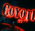 Coyote Friday Show, фото № 7