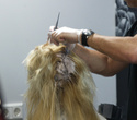 Семинар для парикмахеров "CHI Cut & Color Trends 2013", фото № 45