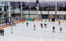  Ледовый каток - фото