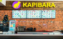 Кафе «Капибара» - фото