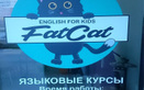 Курсы английского языка Fat Cat English (Фэт Кэт Инглиш) – Цены - фото