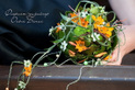 Cтудия авторской флористики и декора «Dezi (Дези)» - фото