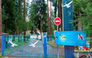 Оздоровительный лагерь «Чайка» - фото