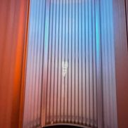 Хамелеон - фото 6