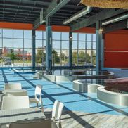 Мандарин - фото 3