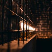 М. Premium - фото 5