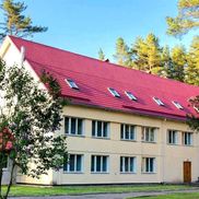 Чайка - фото 6